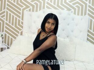 PamelaTuner