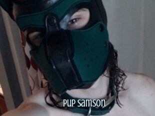 Pup_Samson