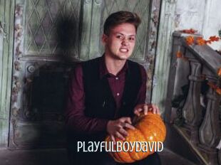 Playfulboydavid