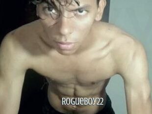 RogueBoy22