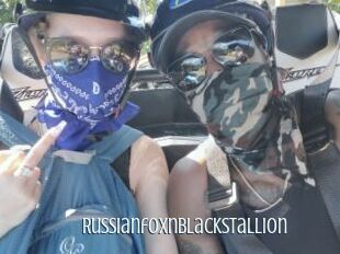 RussianfoxnBlackstallion