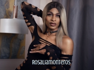 Rosaliamonteros