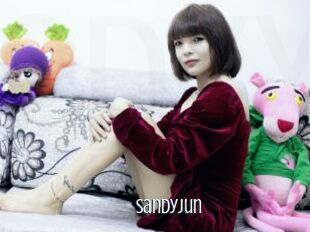 SandyJun