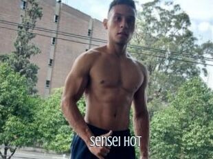 Sensei_hot