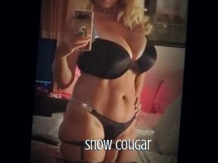 Snow_Cougar