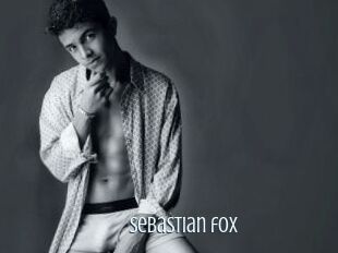 Sebastian_fox