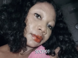 Secypot