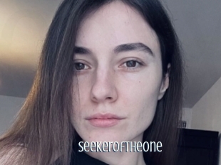 Seekeroftheone