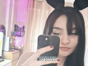 Shybunny