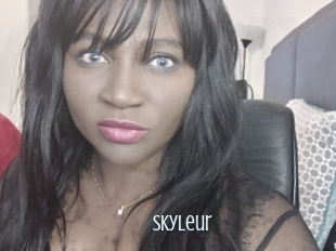 Skyleur