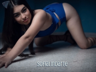 Sofialindarte