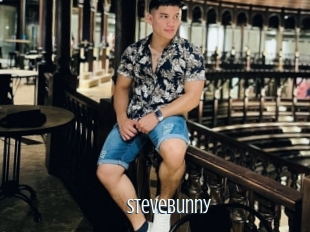 Stevebunny