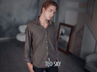 TEO_SKY