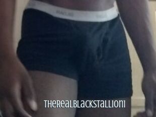 TheRealBlackStallion1