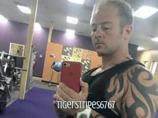 Tigerstripes6767