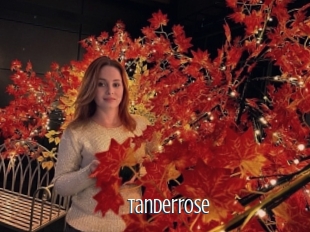 Tanderrose