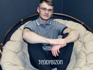 Teddybizon