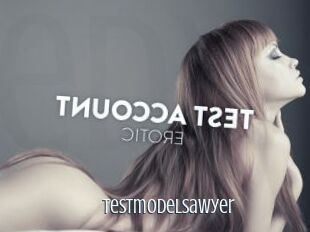 Testmodelsawyer