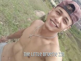 The_little_bruette_228