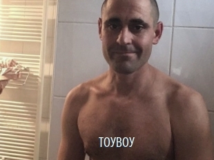 Toyboy