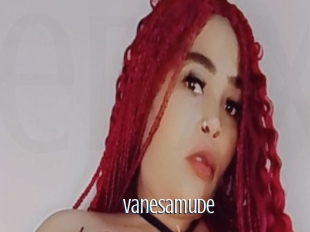 Vanesamude