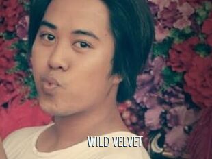 WILD_VELVET