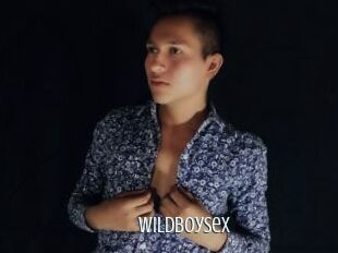 Wildboysex