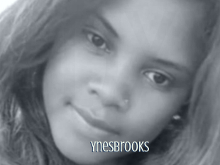 Ynesbrooks